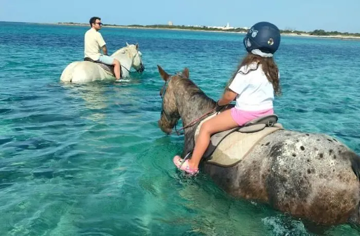 Porto Bloom Bed & Breakfast Porto Cesareo